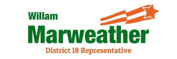 Picture of Mesh Political 6