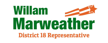 Picture of Mesh Political 6