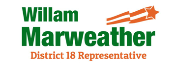 Picture of Mesh Political 6