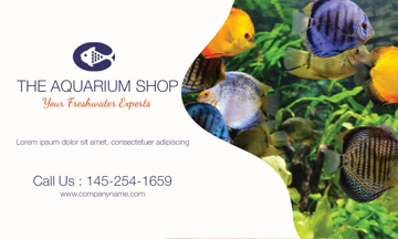 Picture of Vinyl Aquarium-01