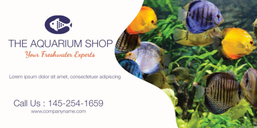 Picture of Vinyl Aquarium-01