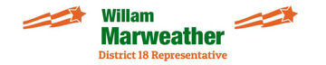 Picture of Mesh Political 6