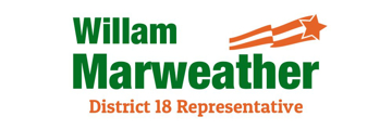 Picture of Mesh Political 6