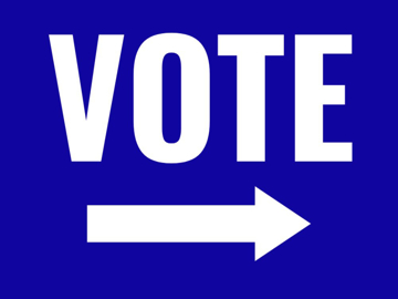 Picture of Vote Other 3