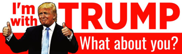 Picture of Political Bumper Sticker 8