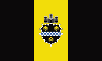 Picture of Pittsburgh, PA Flag - 3x5