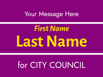 Picture of City Council 8