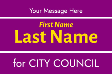 Picture of City Council 8