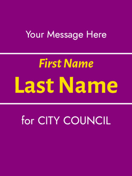 Picture of City Council 8