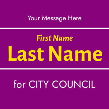 Picture of City Council 8