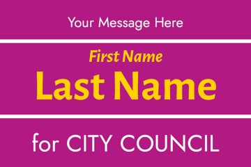 Picture of City Council 8