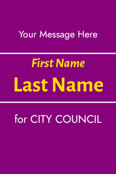 Picture of City Council 8