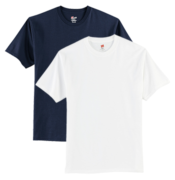 Picture of Hanes Authentic Tee