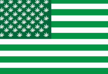 Picture of Sports Flag 2 - 4x6