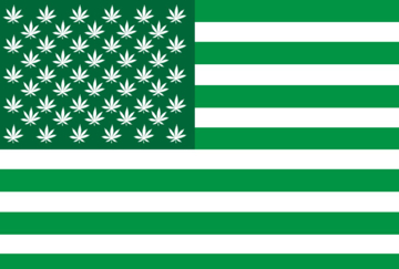 Picture of Novelty Flag 3 - 4x6