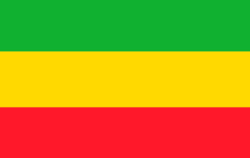 Picture of Real Estate Flags 2 - 5x8