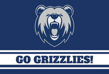 Picture of Sports Flag 1 - 2x3