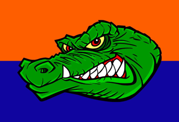 Picture of Sports Flag 2 - 2x3