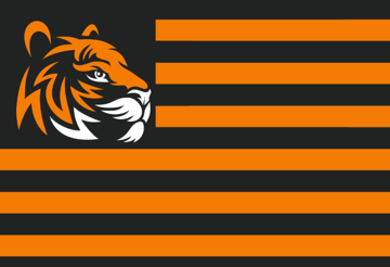 Picture of Sports Flag 4 - 2x3