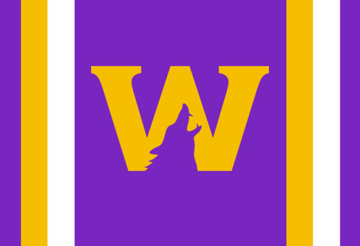 Picture of Sports Flag 5 - 2x3