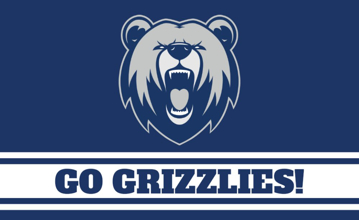 Picture of Sports Flag 1 - 3x5