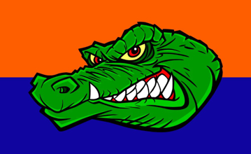 Picture of Sports Flag 2 - 3x5