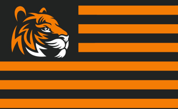 Picture of Sports Flag 4 - 3x5