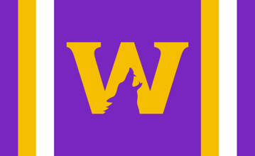 Picture of Sports Flag 5 - 3x5