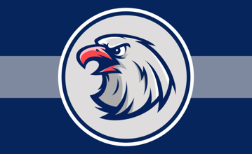 Picture of Sports Flag 6 - 3x5