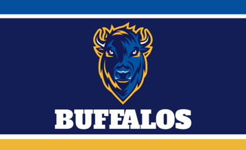 Picture of Sports Flag 8 - 3x5