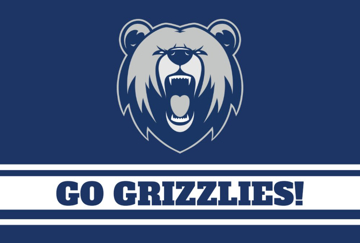 Picture of Sports Flag 1 - 4x6