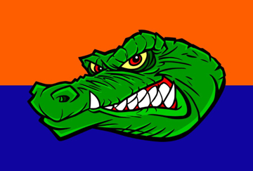 Picture of Sports Flag 2 - 4x6