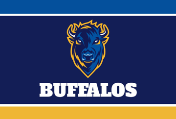 Picture of Sports Flag 8 - 4x6