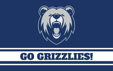 Picture of Sports Flag 1 - 5x8