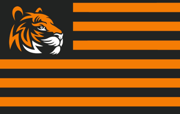 Picture of Sports Flag 4 - 5x8