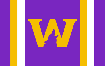 Picture of Sports Flag 5 - 5x8