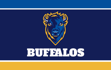 Picture of School Flag 5 - 2x3