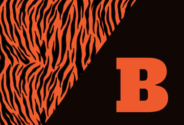 Picture of School Flag 5 - 2x3