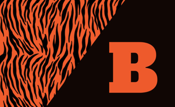 Picture of School Flag 5 - 3x5