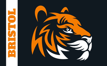 Picture of School Flag 6 - 3x5