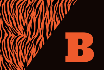 Picture of School Flag 5 - 4x6