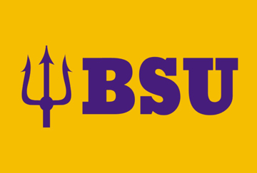 Picture of School Flag 7 - 4x6