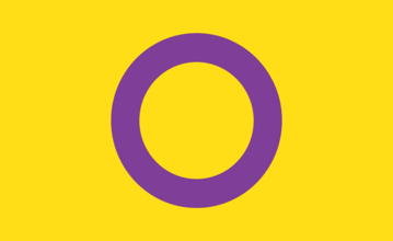 Picture of Intersex Pride Flag - 3x5