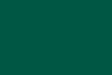 Picture of Islamic flag - 2x3