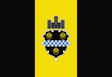 Picture of Pittsburgh, PA Flag - 2x3