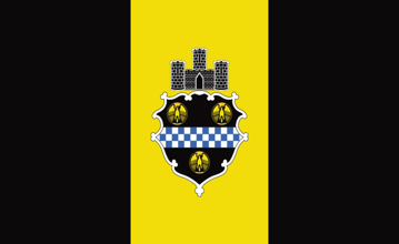 Picture of Pittsburgh, PA Flag - 3x5