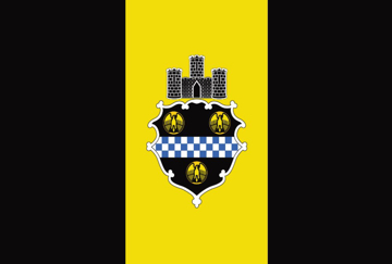 Picture of Pittsburgh, PA Flag - 4x6