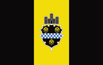 Picture of Pittsburgh, PA Flag - 5x8
