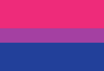 Picture of Bisexual Pride Flag - 2x3