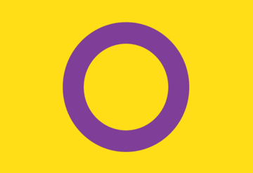 Picture of Intersex Pride Flag - 2x3